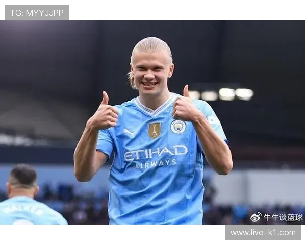 劳塔罗与哈兰德对比：全面型中锋与终结机器的差距解析