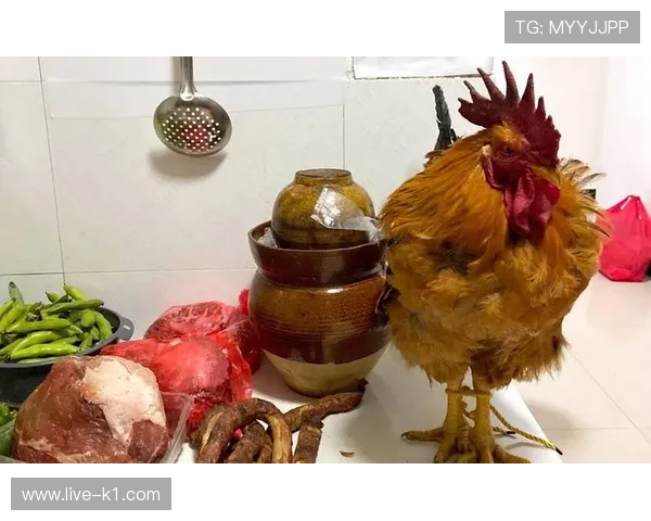 安赛龙家里那个冰箱里放的到底有多豪横啊，感觉买菜都像在开发布会