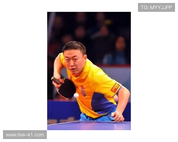 王励勤退役后住的别墅，比他打球时拿的奖金还贵