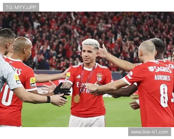 恩佐 vs 楚阿梅尼：后腰位置上的战术角色与比赛影响力差异