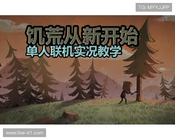 非法掩护是什么规则?新手教学解析 非法掩护是什么规则?新手教学解析